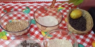 Foto: Cereales Doña Margarita: Sabor y tradición con calor de hogar / TN8