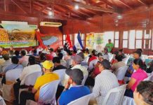 Se ejecutan reuniones con productores de semilla para la época de primera