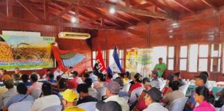 Se ejecutan reuniones con productores de semilla para la época de primera