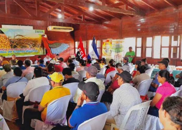 3 Se ejecutan reuniones con productores de semilla para la época de primera