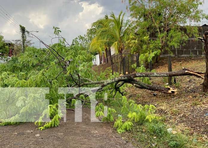3 Foto: Primeros estragos de las lluvias en la cabecera departamental de Chontales / TN8
