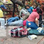 Con lesiones de consideración resultó una pareja al caerle un árbol en León Con lesiones de consideración resultó una pareja al caerle un árbol en León