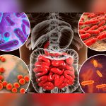 ¿Qué es la microbiota y cómo afecta al organismo humano? ¿Qué es la microbiota y cómo afecta al organismo humano?