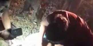 Jinete con graves lesiones tras ser arrollado por camión en Villa Sandino, Chontales/