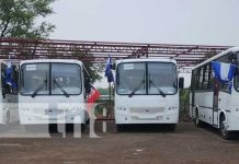 Unidades de transporte colectivo urbano brinda mejores condiciones a población de León Unidades de transporte colectivo urbano brinda mejores condiciones a población de León