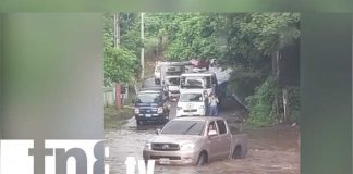 ¡No aprenden! Continúan las imprudencias de conductores contra la naturaleza