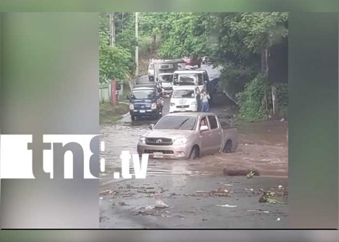 ¡No aprenden! Continúan las imprudencias de conductores contra la naturaleza
