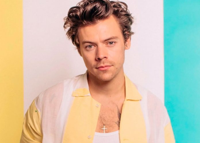 ¿Será Oliver Sudden uno de los amores de Harry Styles?, Aquí te contamos