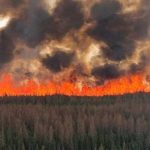 Más de 13.000 evacuados por incendios forestales en Alberta, Canadá