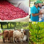 Foto: Avances tecnológicos están cambiando el mercado laboral en Nicaragua / Cortesía