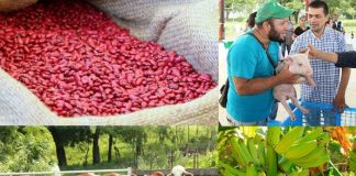 Foto: Avances tecnológicos están cambiando el mercado laboral en Nicaragua / Cortesía