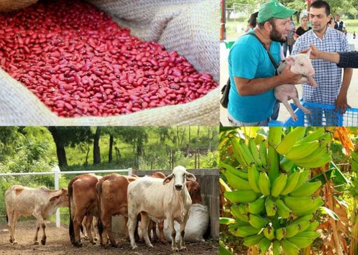 Foto: Avances tecnológicos están cambiando el mercado laboral en Nicaragua / Cortesía