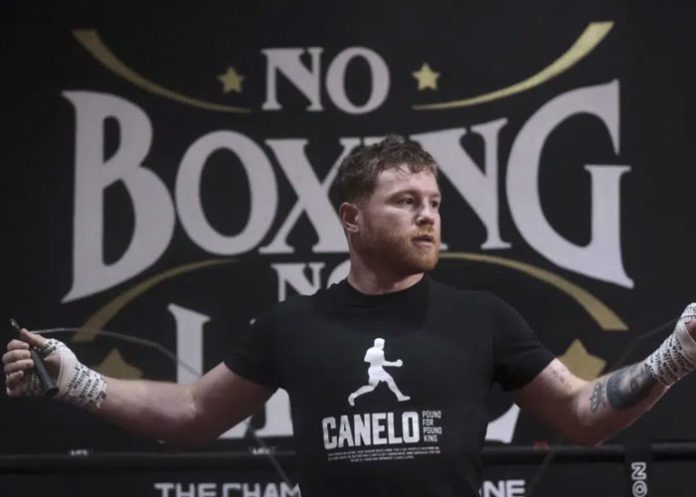 canelo, álvarez, gimnasio, guadalajara, boxeo,