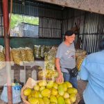 Millonaria inversión en el Mayoreo con la construcción del nuevo galerón «Los Masaya» Mejores condiciones para comerciantes del Mayoreo