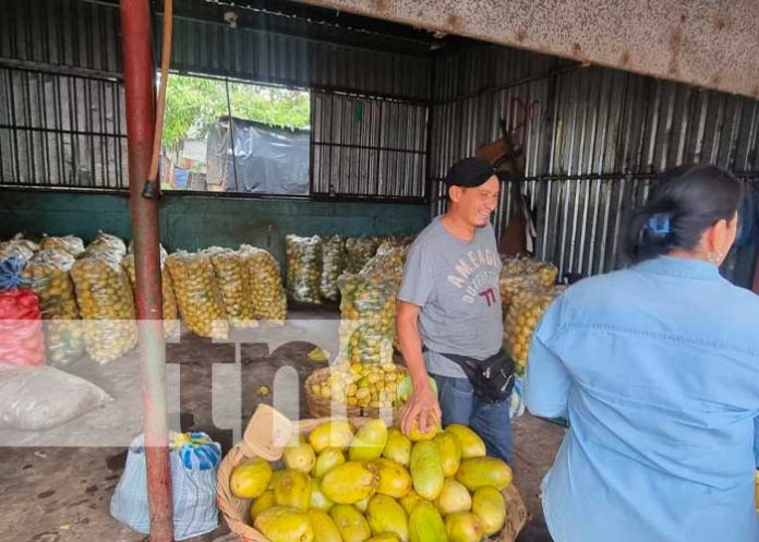 Mejores condiciones para comerciantes del Mayoreo