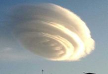 Estremecedor: Terrible predicción del Viajero del Tiempo para este 30 de mayo Estremecedor: Terrible predicción del Viajero del Tiempo para este 30 de mayo