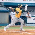 cheslor, cuthbert, delfines, guira, samanes, aragua,