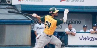 cheslor, cuthbert, delfines, guira, samanes, aragua,