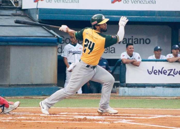 Samanes cheslor, cuthbert, delfines, guira, samanes, aragua,