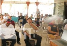 Capacitan a productores de cacao para que exporten su producto a nivel internacional Capacitan a productores de cacao para que exporten su producto a nivel internacional