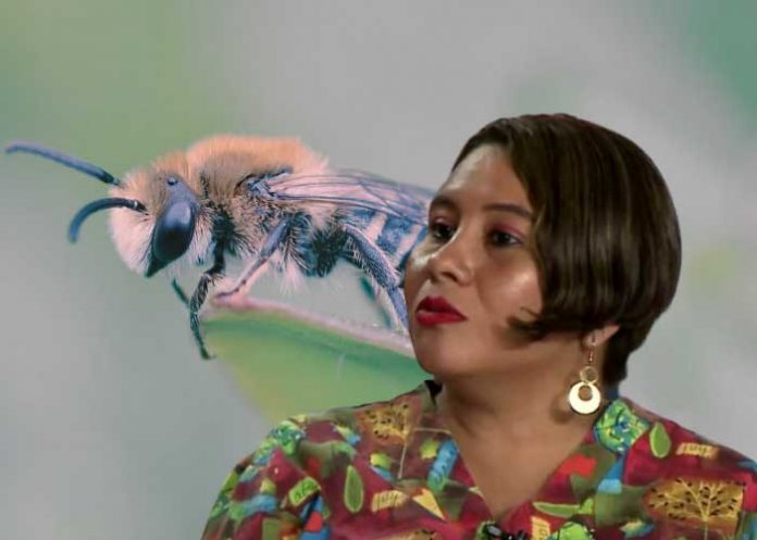 Foto: Entrevista con especialista veterinaria sobre comportamiento de abejas