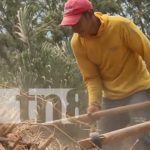 Foto: Preparación de cultivos en Nandaime / TN8