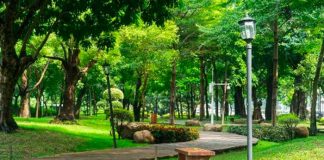 Cachan a pareja haciendo el “delicioso” en parque frente a niños