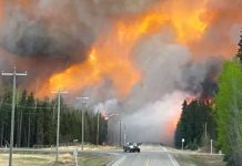«Fuego del cielo» Canadá declara estado de emergencia por incendios forestales Declaran estado de emergencia en Canadá