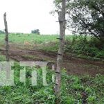 Foto: Hombre muere electrocutado en una finca de Masaya / TN8