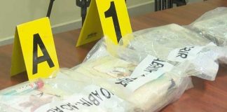 Foto: Incautación de cocaína en Managua / TN8