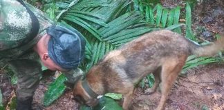 ¿Hallan con vida a los 4 niños desaparecidos en Colombia?