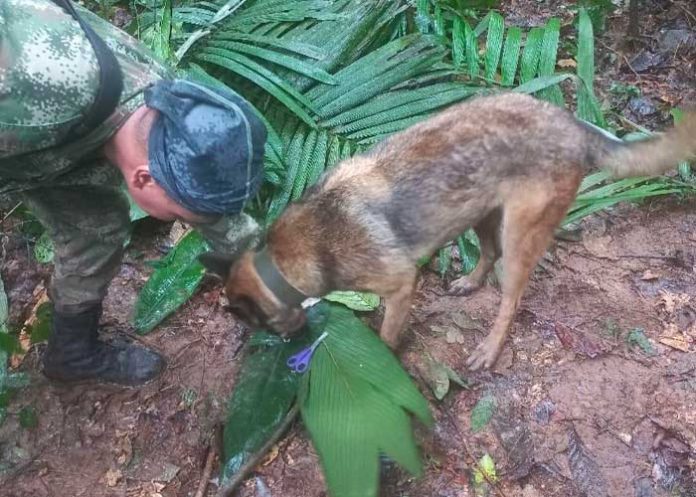 colombia ¿Hallan con vida a los 4 niños desaparecidos en Colombia?
