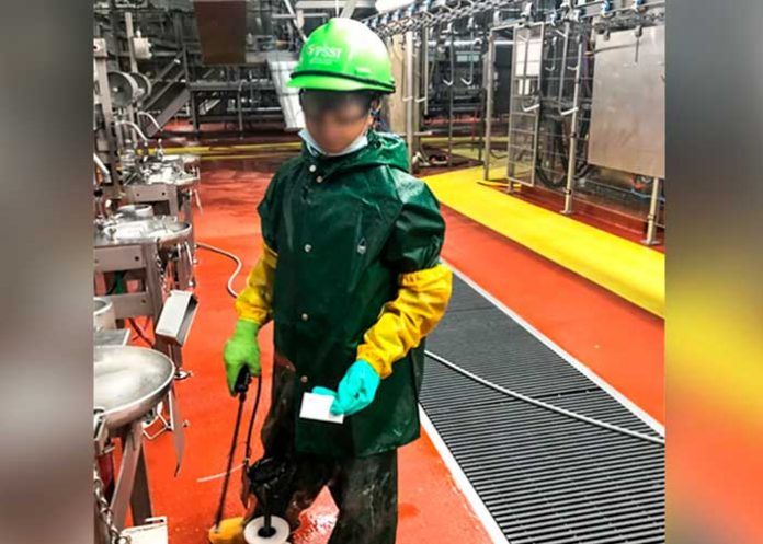 ¡Impactante! Hallan a menores de edad trabajando en un matadero en Estados Unidos