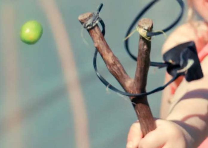 Niño frustró el secuestro de su hermana en Michigan usando una tiradora