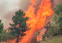 Infernales llamas de incendio en España saca de sus casas a 700 personas Infernales llamas de incendio en España saca de su casa a 700 personas