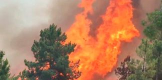 Infernales llamas de incendio en España saca de su casa a 700 personas