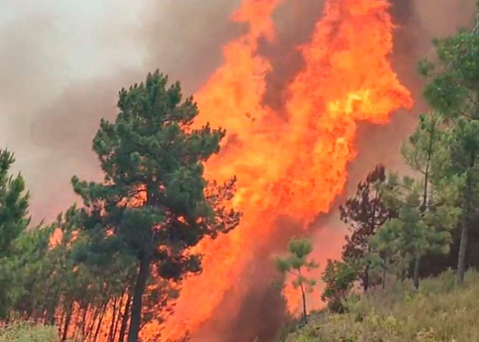 Infernales llamas de incendio en España saca de su casa a 700 personas