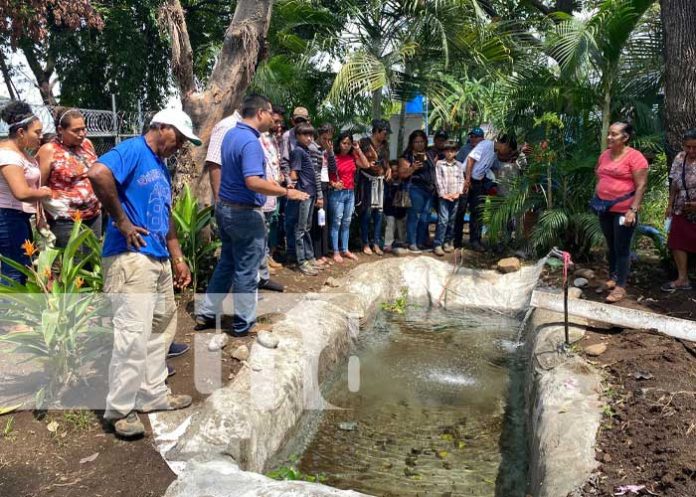 estan-1 Foto: Fortalecimiento de capacidades productivas gracias al MEFCCA en Chinandega / TN8