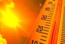 Europa no para de sufrir ¿Tendrán que aprender a convivir con el calor? Foto: Brasil Bajo Calor Extremo: Ciudades Alcanzan Récords de Temperatura / Cortesía