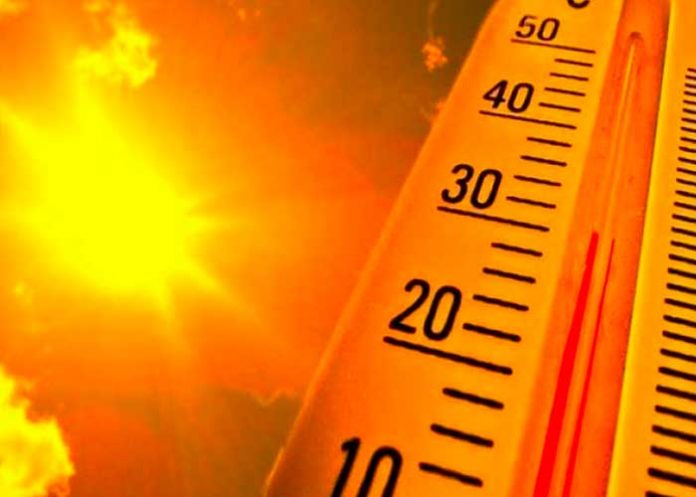 Foto: Brasil Bajo Calor Extremo: Ciudades Alcanzan Récords de Temperatura / Cortesía