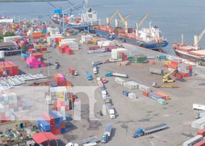 Exportaciones de Nicaragua crecieron en más del 3% en primeros meses del 2023