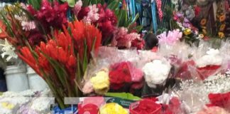Foto: Muchos regalos para las madres en negocios de Managua / TN8