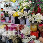 Las rosas, las más hermosas para celebrar a mamá en su día Foto: Flores y rosas para celebrar a mamá en su día / TN8