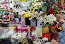 Las rosas, las más hermosas para celebrar a mamá en su día Foto: Flores y rosas para celebrar a mamá en su día / TN8