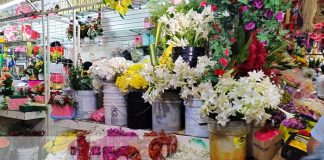 Foto: Flores y rosas para celebrar a mamá en su día / TN8