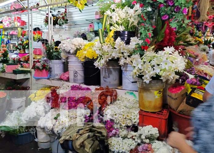 flower-2 Foto: Flores y rosas para celebrar a mamá en su día / TN8