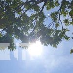 Persistirán altas temperaturas y pocas probabilidades de lluvia en Nicaragua Foto: INETER reporta de temperaturas para esta semana en Nicaragua / TN8