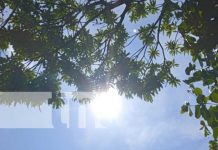 Persistirán altas temperaturas y pocas probabilidades de lluvia en Nicaragua Foto: INETER reporta de temperaturas para esta semana en Nicaragua / TN8