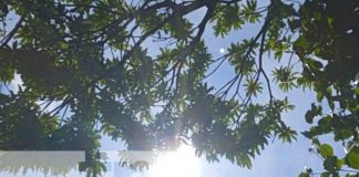 Foto: INETER reporta de temperaturas para esta semana en Nicaragua / TN8