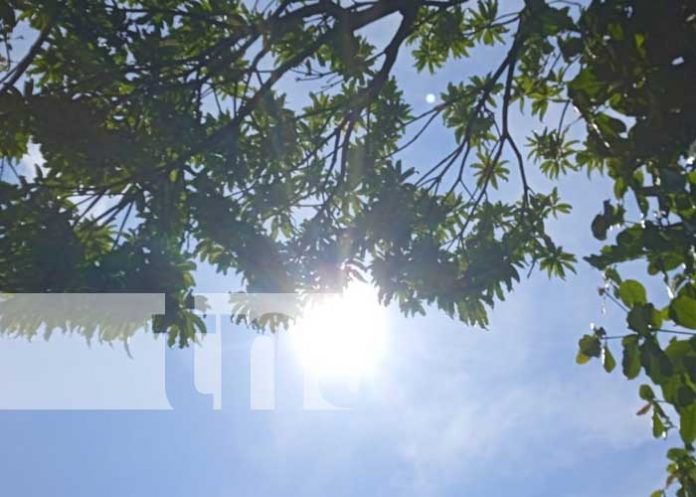 inep-3 Foto: INETER reporta de temperaturas para esta semana en Nicaragua / TN8